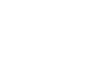 Zampa Foundation